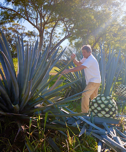 01092022_WaikuluMaui_0920_edited_edited.jpg