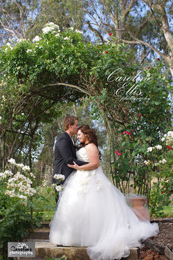 Swan Hill Wedding Photographers