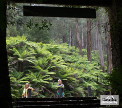 tarra-bulga-kids.jpg
