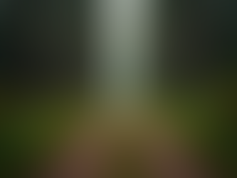 The Power of Mindfulness in Everyday Life