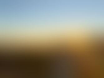 At the end, it’s just you and your memories 🕊️