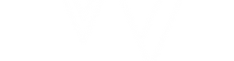 FEED VZ.png