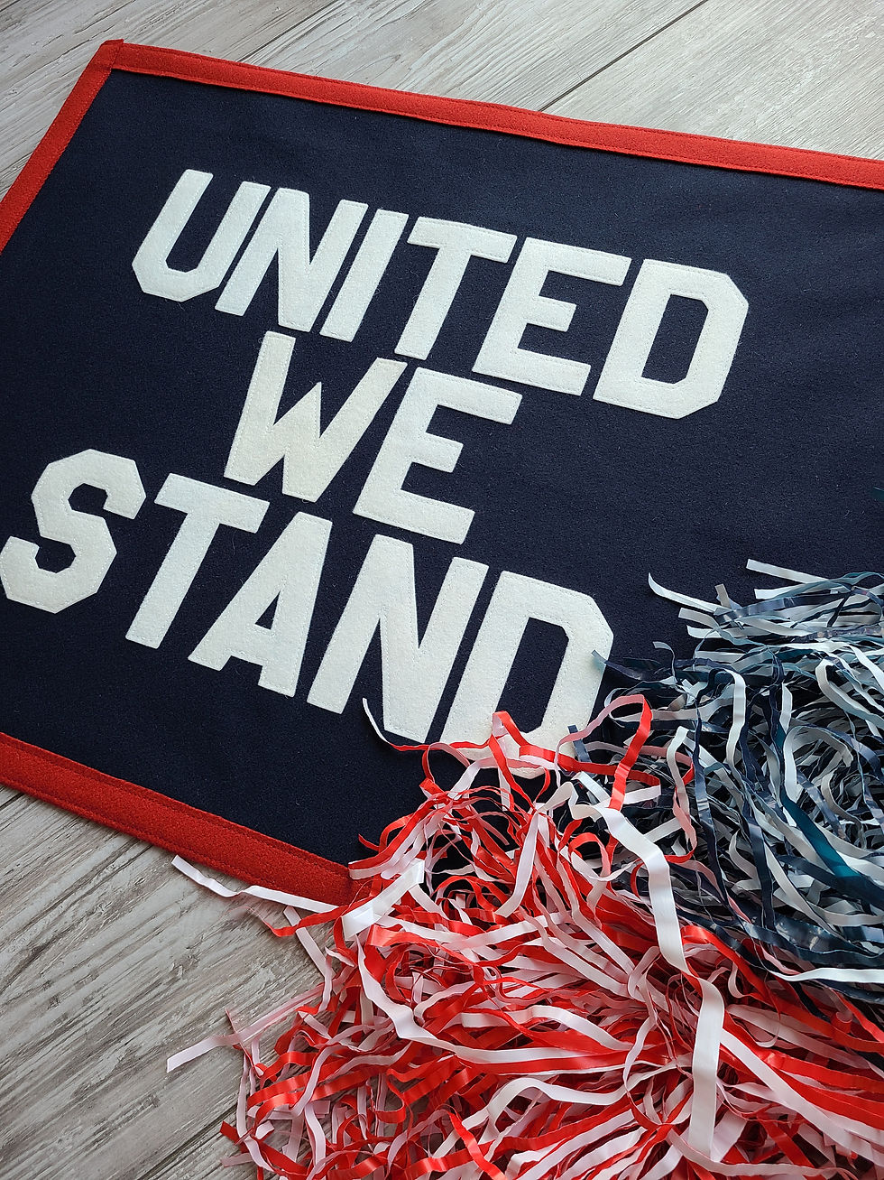 Thumbnail: UNITED WE STAND Banner