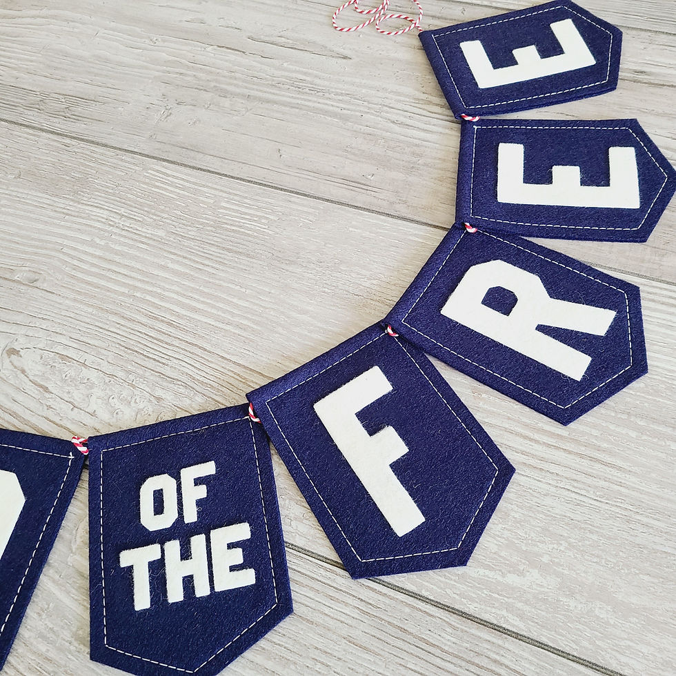 Thumbnail: LAND OF THE FREE Bunting