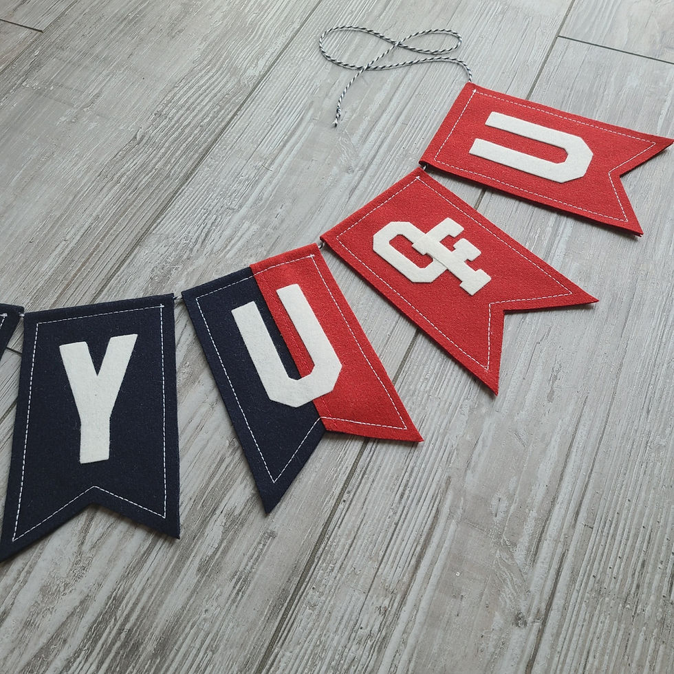 Thumbnail: BYU/UTAH House Divided Bunting Banner