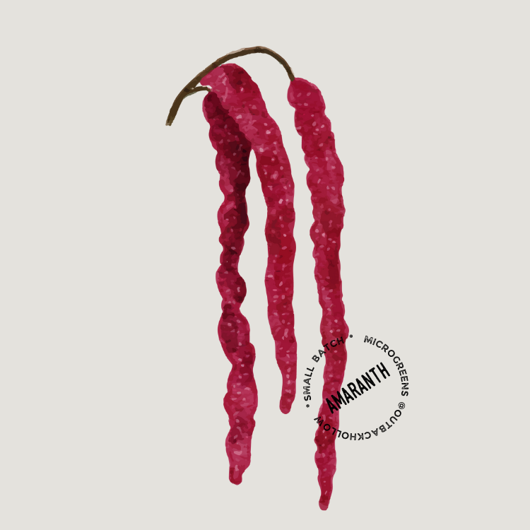 17.png