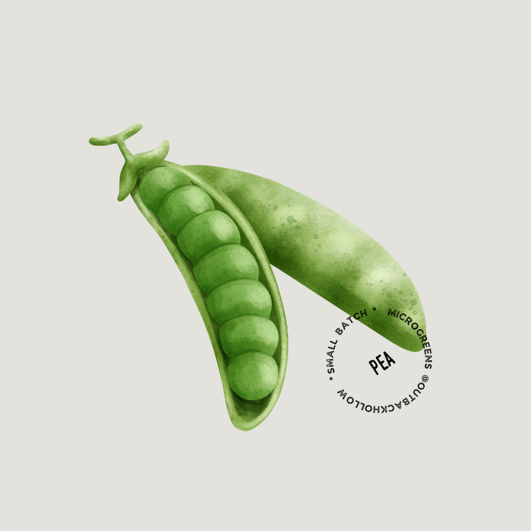 26.png