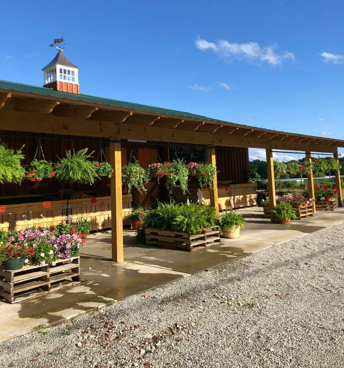 SUMMER Naylor Family Farm