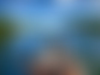 本日の湖面状況