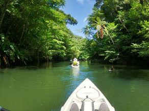本日の湖面状況
