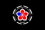 LOGO IAIDO AUXERRE 3.2.2japBBR32.png