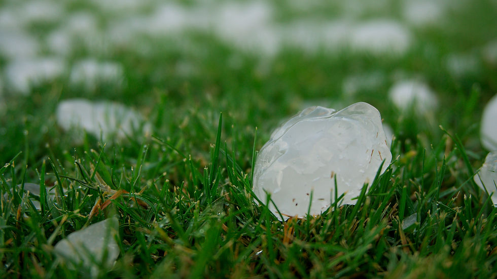 What to do after hail damages roof, how to file roof claim Texas, free roof inspection DFW.