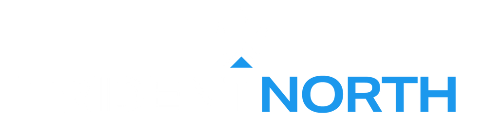 TN - Main lockup - Color Invert.png