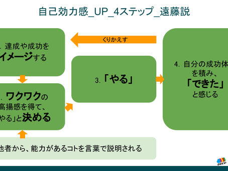 メンタル安定のコツ_自己効力感_self-efficacy_何故、毎週面談するの?