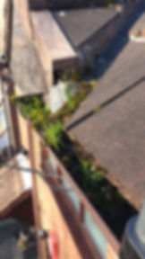 Clogged gutter with moss and debris before professional gutter cleaning in Kidderminster