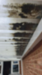 Dirty gutters and soffits with algae and staining before cleaning in Kidderminster