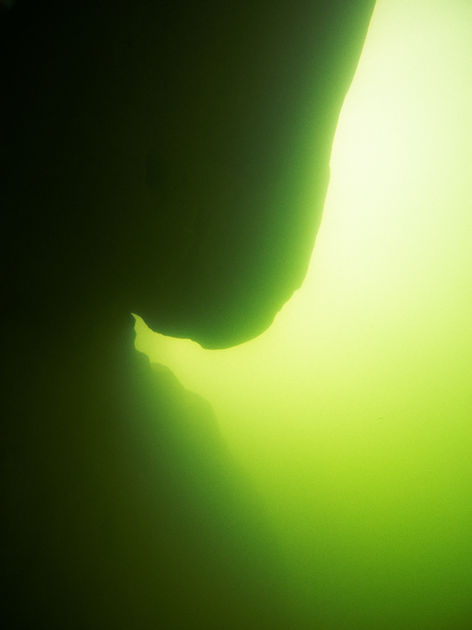 _40A4457.jpeg