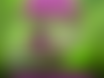 ⚽🔥 En el marco de la 𝐉𝐨𝐫𝐧𝐚𝐝𝐚 𝐍𝐚𝐜𝐢𝐨𝐧𝐚𝐥 𝐝𝐞 𝐅ú𝐭𝐛𝐨𝐥 𝐩𝐚𝐫𝐚 𝐥𝐚𝐬 𝐲 𝐥𝐨𝐬 𝐉ó𝐯𝐞𝐧𝐞𝐬 