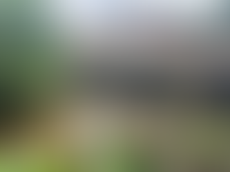 Realizan Labores de Limpieza en Arroyos para Prevenir Inundaciones en Minatitlán