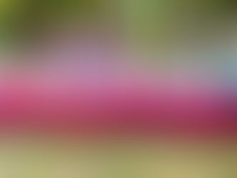 Con el triunfo del COBAEV 42 concluye el torneo interprepas organizado por el Ayuntamiento