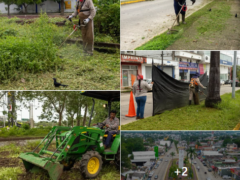 Gobierno de Minatitlán refuerza labores de mantenimiento y limpieza urbana