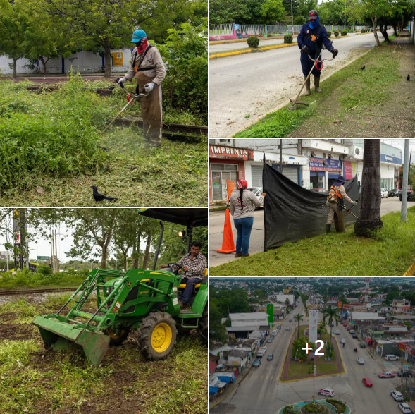 Gobierno de Minatitlán refuerza labores de mantenimiento y limpieza urbana