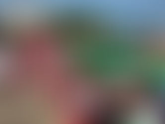 Celebra Ayuntamiento 109 Aniversario de la Revolución Mexicana