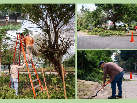 Unidos por un Minatitlán Limpio