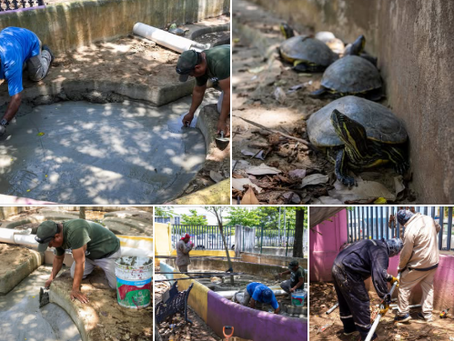 Minatitlán fortalece el cuidado y preservación de especies