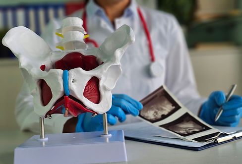 X-ray of the hip joint and ultrasound of organs. Pelvic Bone. Ultrasound examination of th