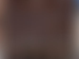 The Horse and Guardsman