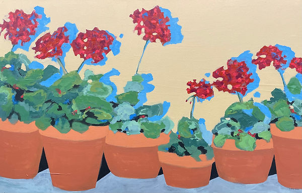 Geraniums 24X36