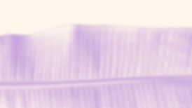 Pink Leaf
