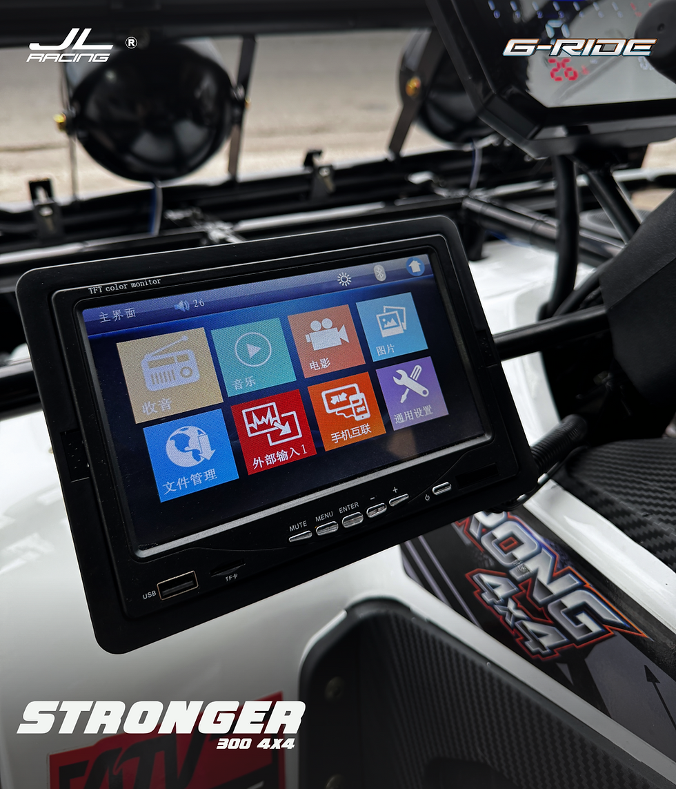 Miniatura: STRONGER G-FORCE | 300cc | 900 kilos