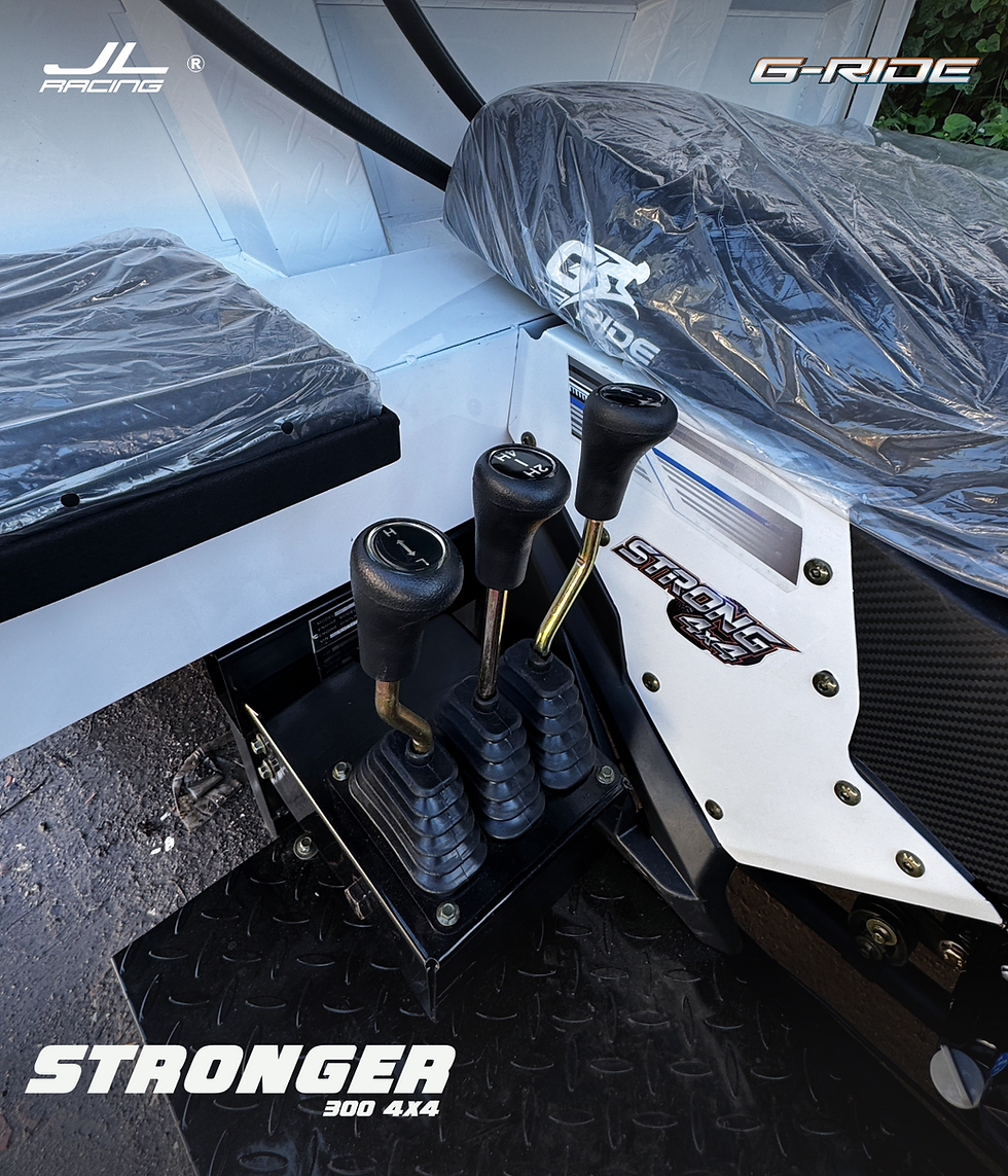 Miniatura: STRONGER G-FORCE | 300cc | 900 kilos