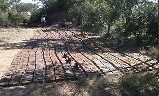 Malawi3.jpg