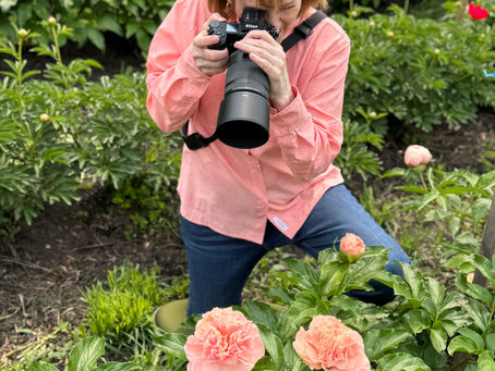 Bloom With Me: A Look Back and a Look Forward