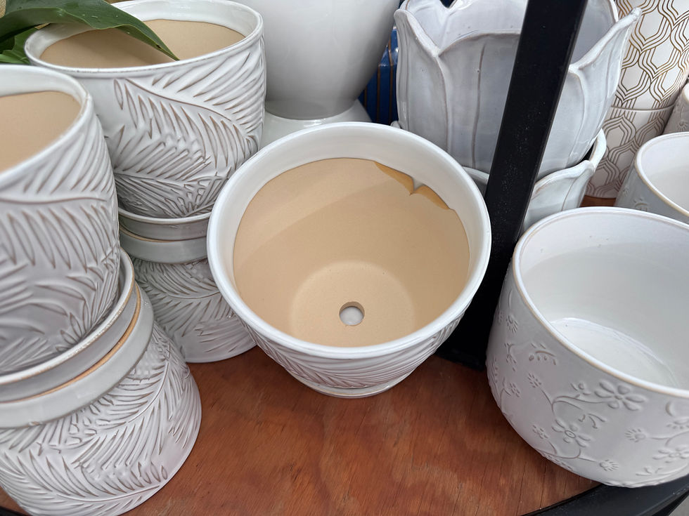 Ceramic pot with pre-drilled drainage hole. Photo: Diana Pierce