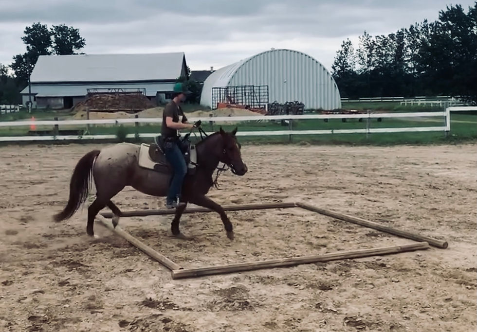 Mon exercice favori pour les barils #1