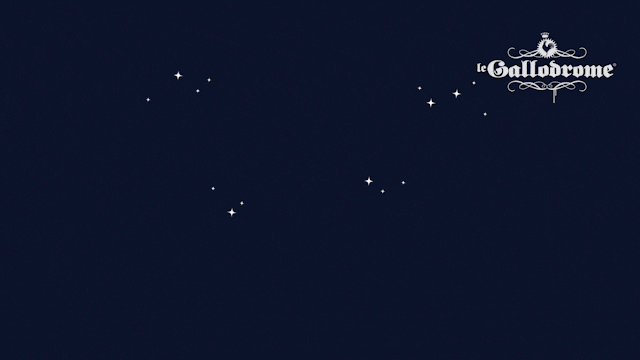 GIF_03.gif