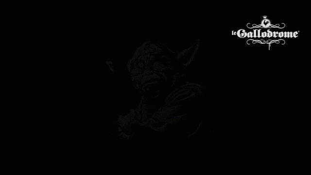 GIF_04.gif