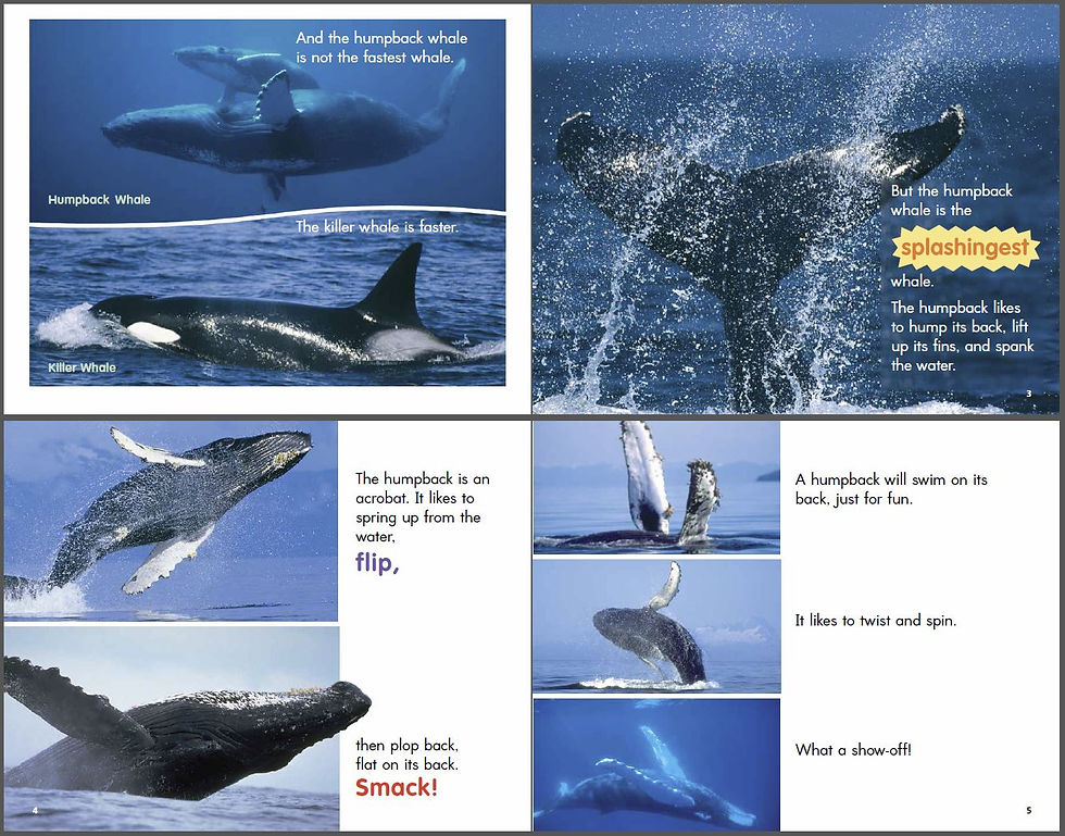 Humpbacks spread
