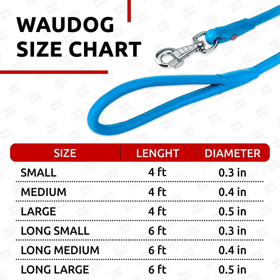 Miniatura: Blue Rolled Leather Dog Leash 6Ft x 0.5 in for Small Medium and Large Dogs