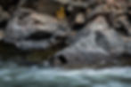 Clear Creek Canyon 10222022 (79)