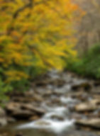 GSMNP 10272019-E7-40
