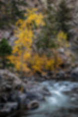 Clear Creek Canyon -2024-42