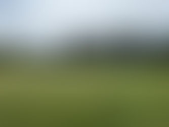 Taronga Sat 13 Dec v Hornsby at Ron Payne