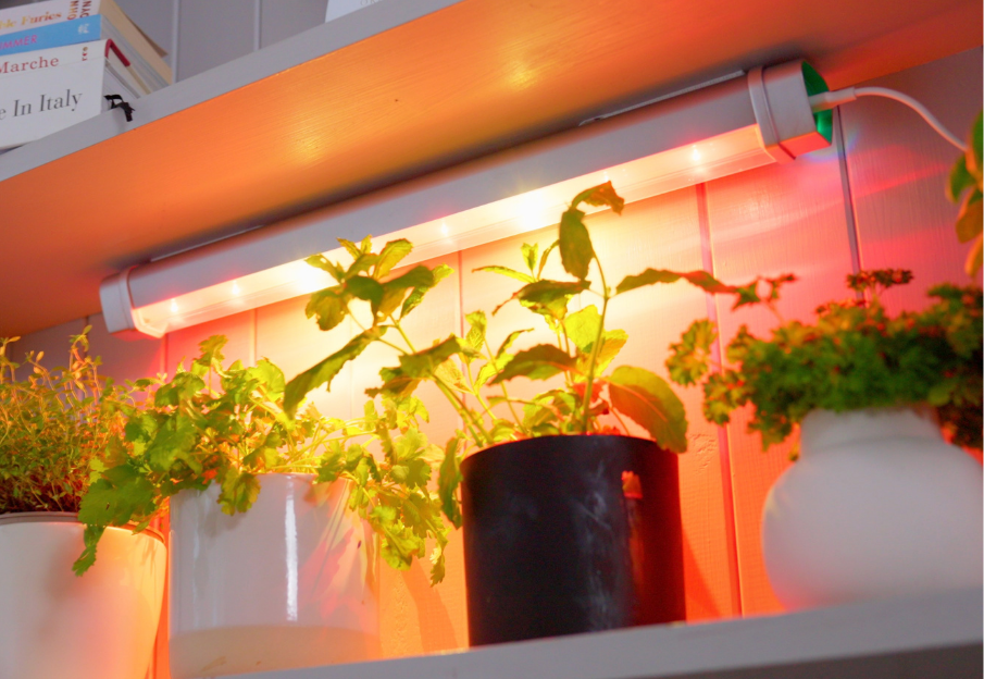 Indoor foodscaping with grow light technology