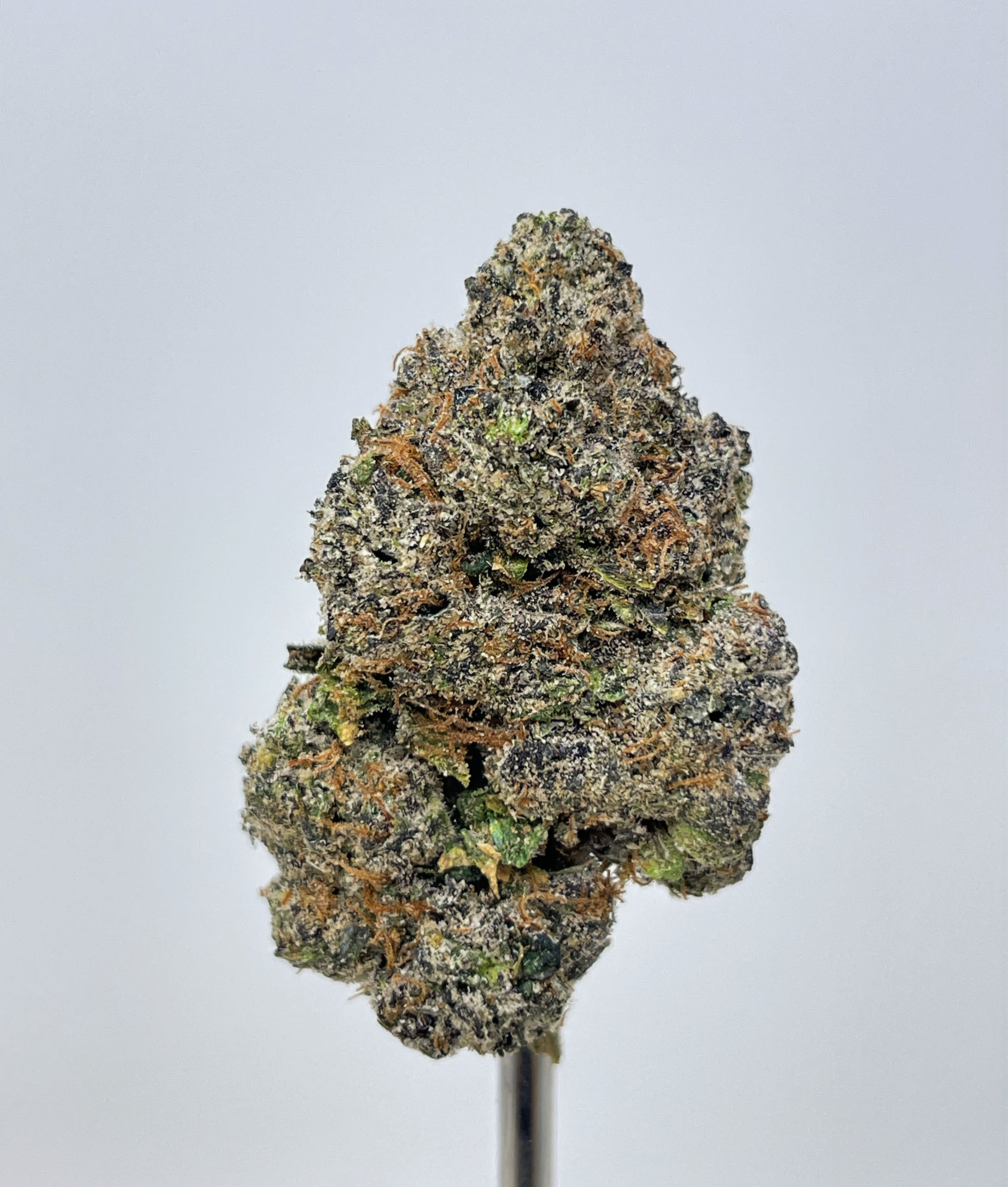 LULU LEMONS (SATIVA)
