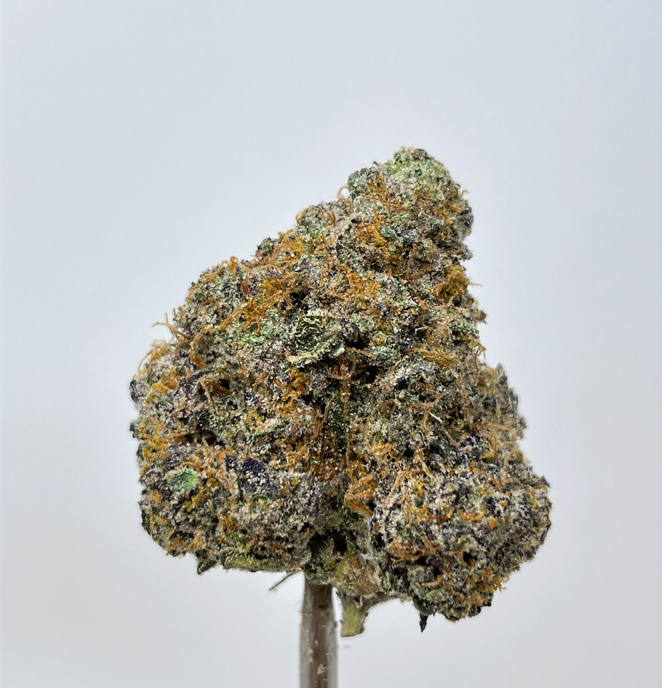 CRUNCH BERRIEZ (HYBRID)